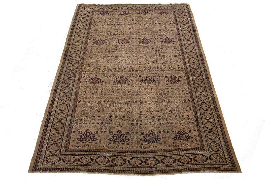 Antique Persian Amritsar Wool Rug 11 X 20