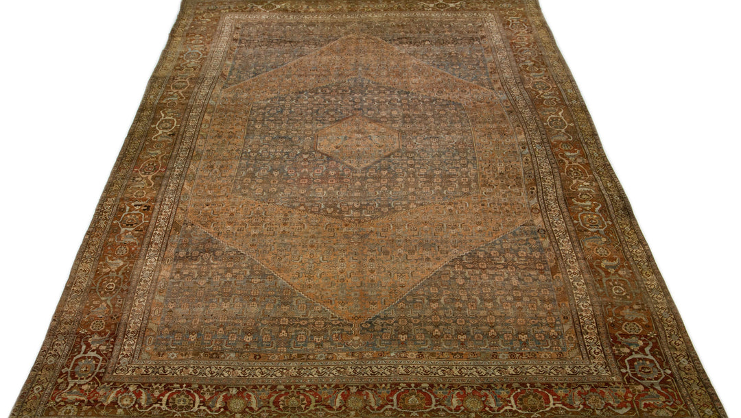 1900s Antique Bidjar Wool Rug 15 x 22