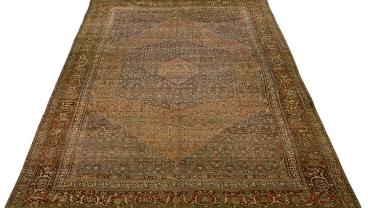 1900s Antique Bidjar Wool Rug 15 x 22
