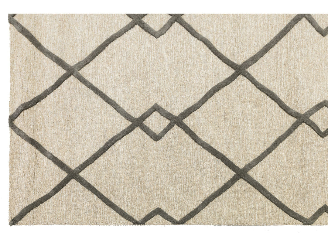 Modern Wool Rug 8 X 10