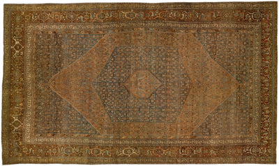 1900s Antique Bidjar Wool Rug 15 x 22