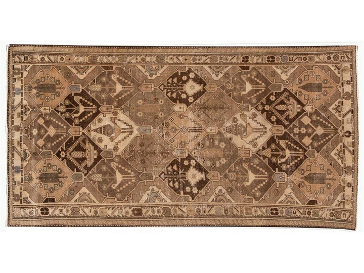 Mid 20th Century Vintage Bakhtiari Rug 5 X 10